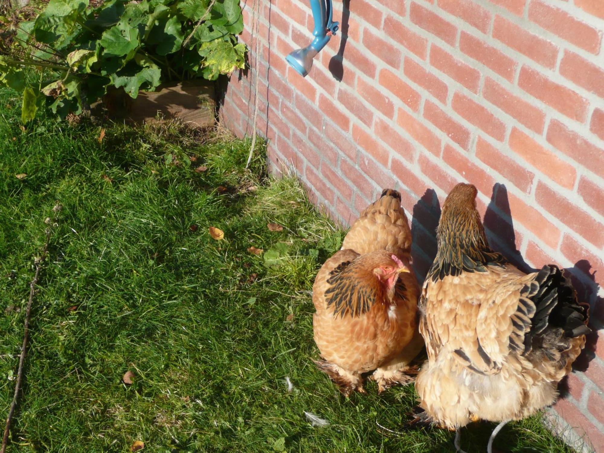 Slaopen En Stoet Bed & Breakfast Anderen Eksteriør bilde